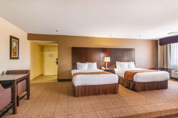 Comfort Inn & Suites image 19